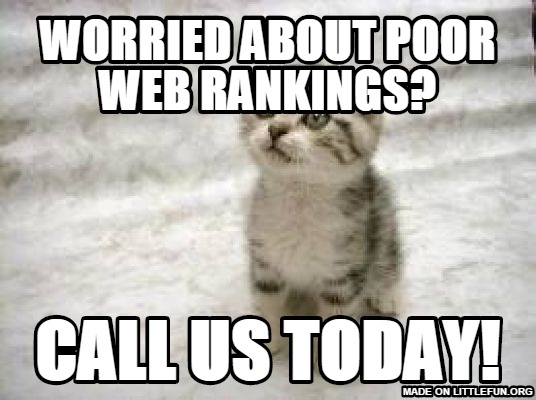 Sad Cat: WORRIED ABOUT POOR WEB RANKINGS?, Call us today!