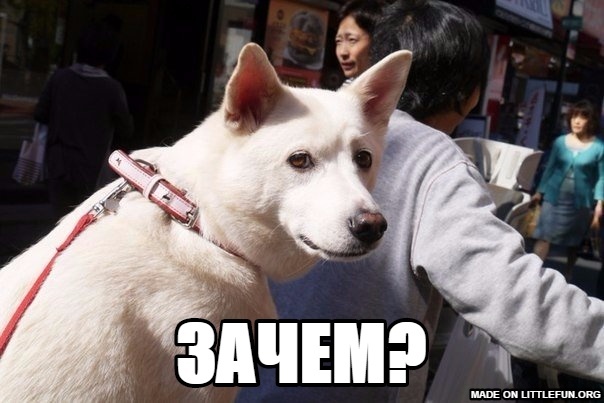 ЗАЧЕМ?