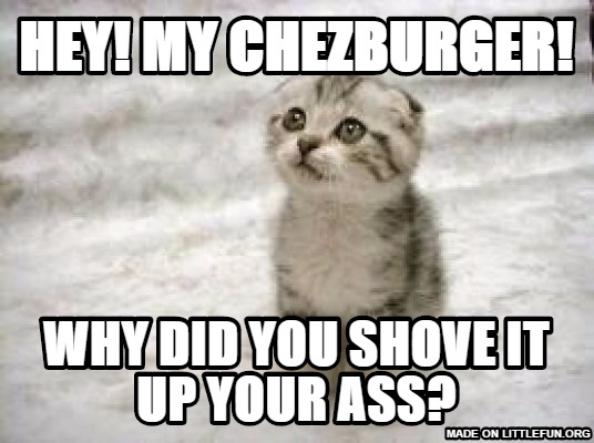 Sad Cat: HEY! MY CHEZBURGER!
, WHY DID YOU SHOVE IT UP YOUR ASS?