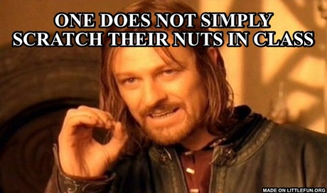 One Does Not Simply: One does not simply scratch their nuts in class