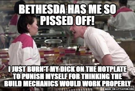 Angry Chef Gordon Ramsay: Bethesda has me so p*ssed off!, I just burn't my dick on the hotplate to punish myself for thinking the build mechanics would work properly