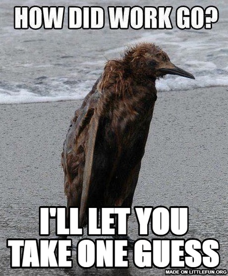 I'll Let you take one guess