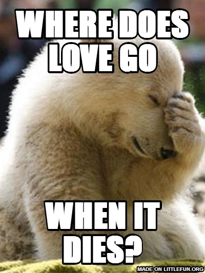 Facepalm Bear: WHERE DOES LOVE GO, WHEN IT DIES?