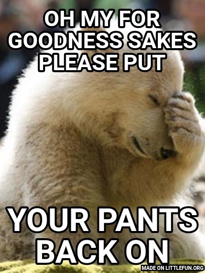 Facepalm Bear: Oh my for goodness sakes please put, Your pants back on