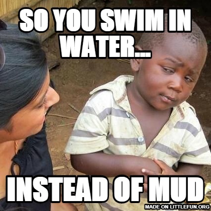 Third World Skeptical Kid: So You Swim In Water..., Instead Of Mud