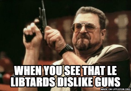 Am I The Only One Around Here: when you see that le libtards dislike guns