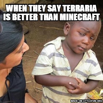 Third World Skeptical Kid: when they say terraria is better than minecraft