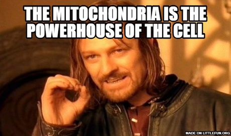 One Does Not Simply: the mitochondria is the powerhouse of the cell