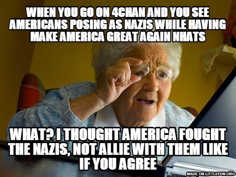 Grandma Finds The Internet: when you go on 4chan and you see americans posing as nazis while having make america great again nhats, What? I thought america fought the nazis, not allie with them like if you agree