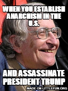when you establish anarchism in the u.s., and assassinate president trump