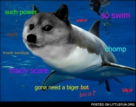 Shark doge