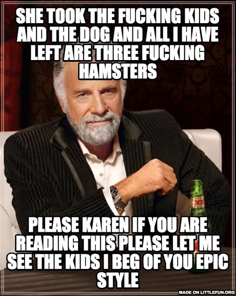 The Most Interesting Man In The World: she took the f**king kids and the dog and all i have left are three f**king hamsters, please karen if you are reading this please let me see the kids i beg of you 

 epic style