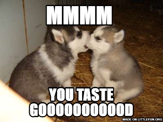 Cute Puppies: Mmmm , You taste gooooooooood