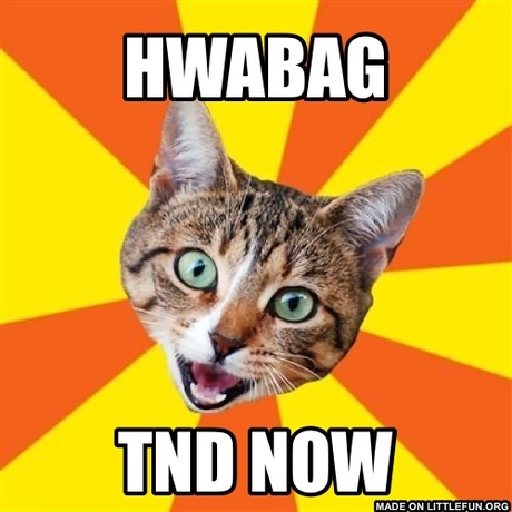 Bad Advice Cat: HWABAG, 
TND NOW