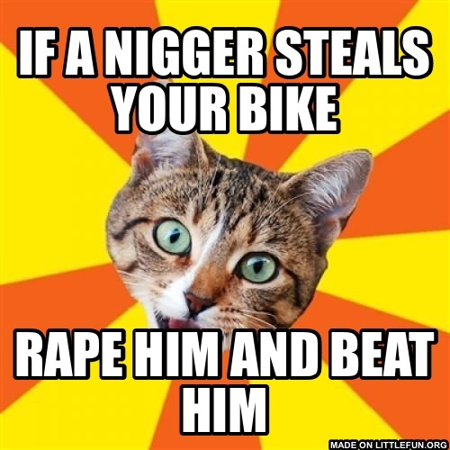 Bad Advice Cat: If a n*gger steals your bike, Rape him and beat him