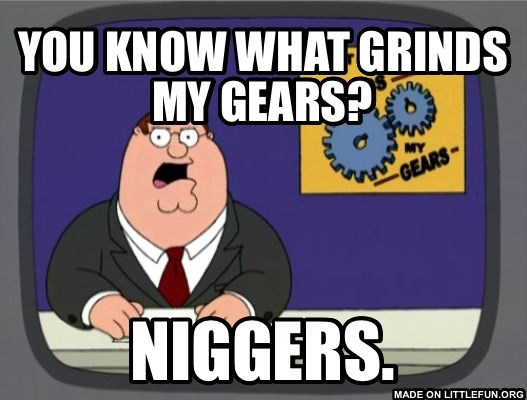 Peter Griffin News: You know what grinds my gears?, N*ggers.