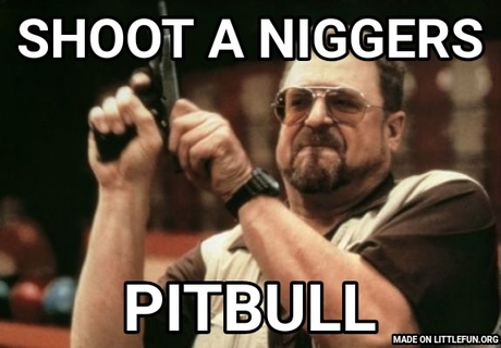 Am I The Only One Around Here: Shoot a n*ggers, Pitbull