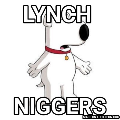 Family Guy Brian: Lynch , N*ggers