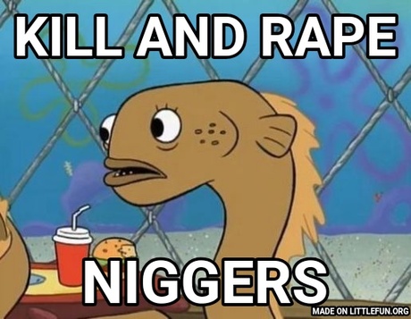 Sadly I Am Only An Eel: KILL AND RAPE, N*ggers