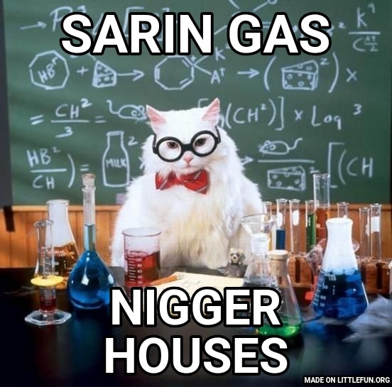 Chemistry Cat: Sarin gas, N*gger houses