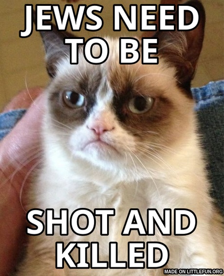 Grumpy Cat: jews need to be, shot and killed