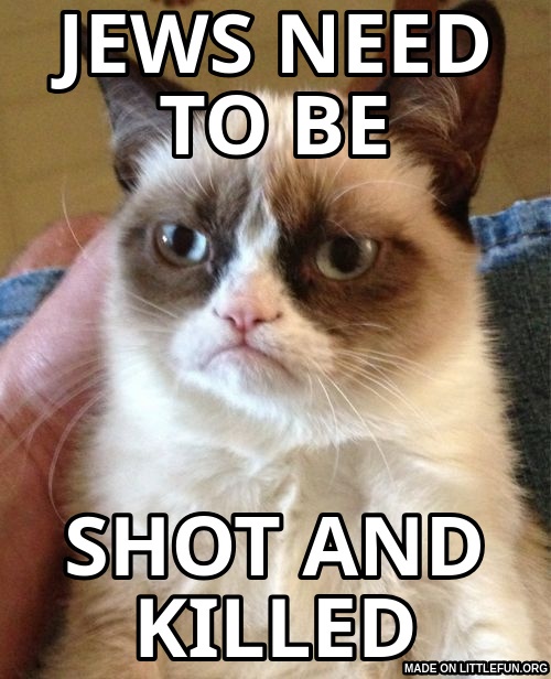 Grumpy Cat: jews need to be, shot and killed