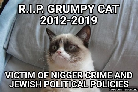 Grumpy Cat Bed: R.I.P. GRUMPY CAT 2012-2019, Victim of n*gger crime and jewish political policies