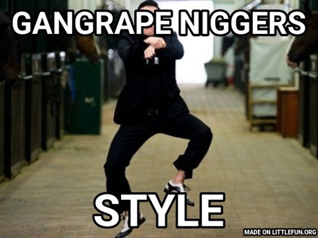 Psy Horse Dance: Gangrape n*ggers, Style