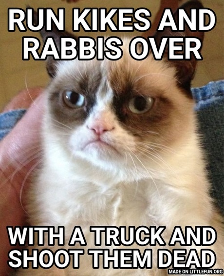 Grumpy Cat: Run kikes and rabbis over, With a truck and shoot them dead