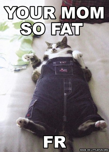 Fat Cat: your mom so fat , fr