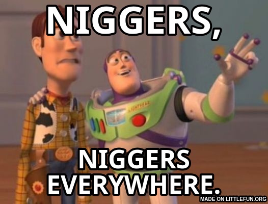 X, X Everywhere: n*ggers,, n*ggers everywhere.