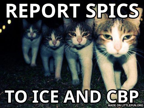 Wrong Neighboorhood Cats: REPORT SPICS, TO ICE AND CBP