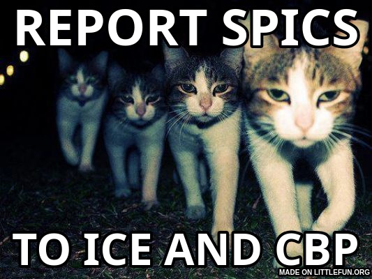 Wrong Neighboorhood Cats: REPORT SPICS, TO ICE AND CBP
