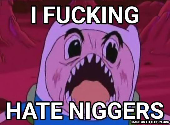 Finn The Human: I F**KING, HATE N*GGERS