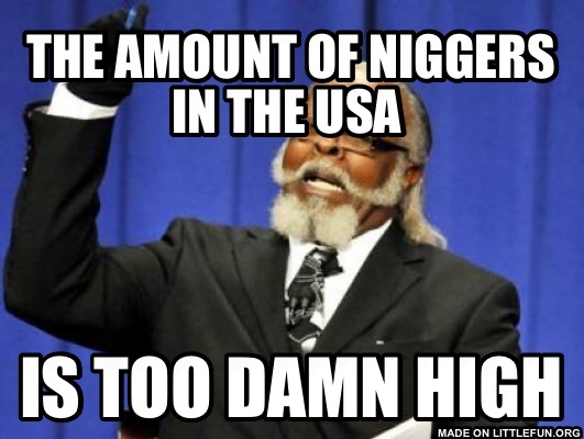 Too Damn High: The amount of n*ggers in the USA , Is too damn high